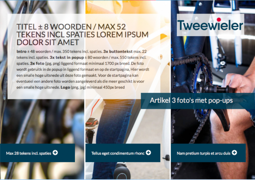 Overzicht proposities_333